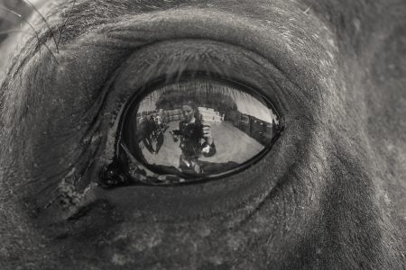 selfie of the photographer in the eye of the horse (reflection) carrouselwedstrijd HCS