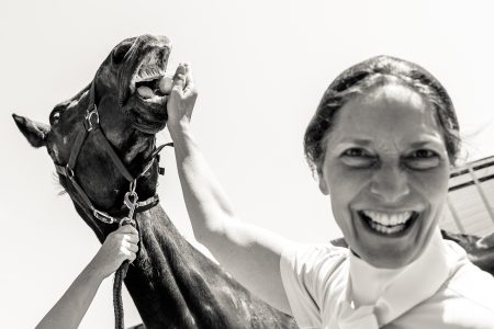 horse being fed with apple carrouselwedstrijd HCS
